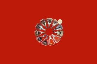 淄博桓台回收红酒